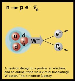 Decaimiento del neutrón